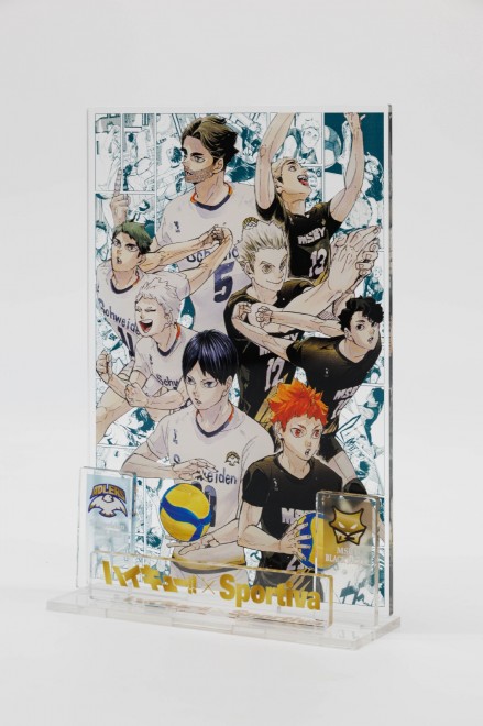 Sportiva Volleyball Special Issue Vol.3, released May 29, features a back cover illustration of Ran Takahashi by Haikyu!! creator Haruichi Furudate.